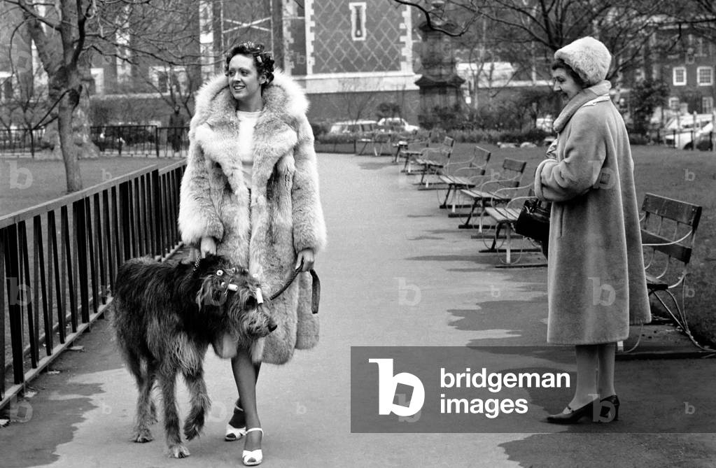 Girl and Dog in Curlers. Model Victoria Burgyne and Irish Wolf Hound 