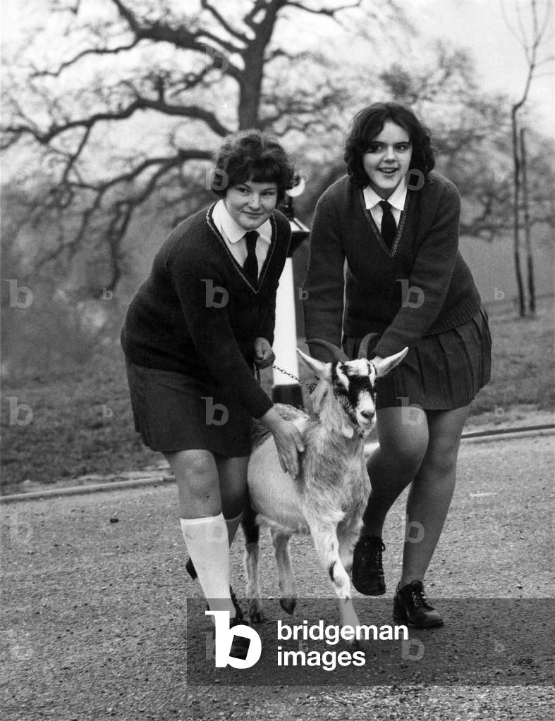 Sallie (left) and Jean with Betty, their school's new goat. January 1971 P011774