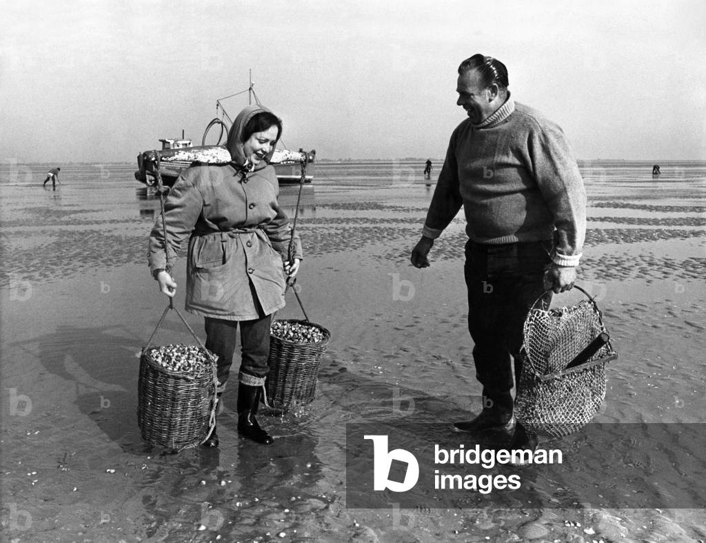 Fishing Industry: Cockle fishing, June 1969