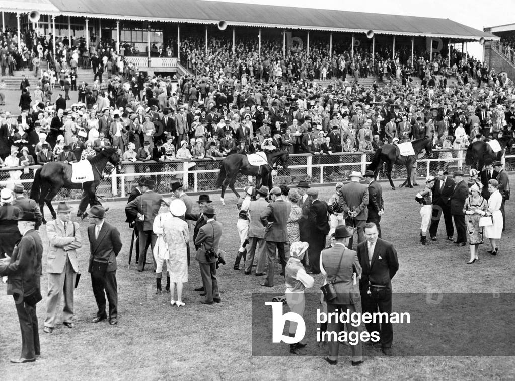 Horses about to take part in the Northumberland Plate on Saturday walk around the parade ring at Gosforth Park. 24th June 1964 (b/w photo)