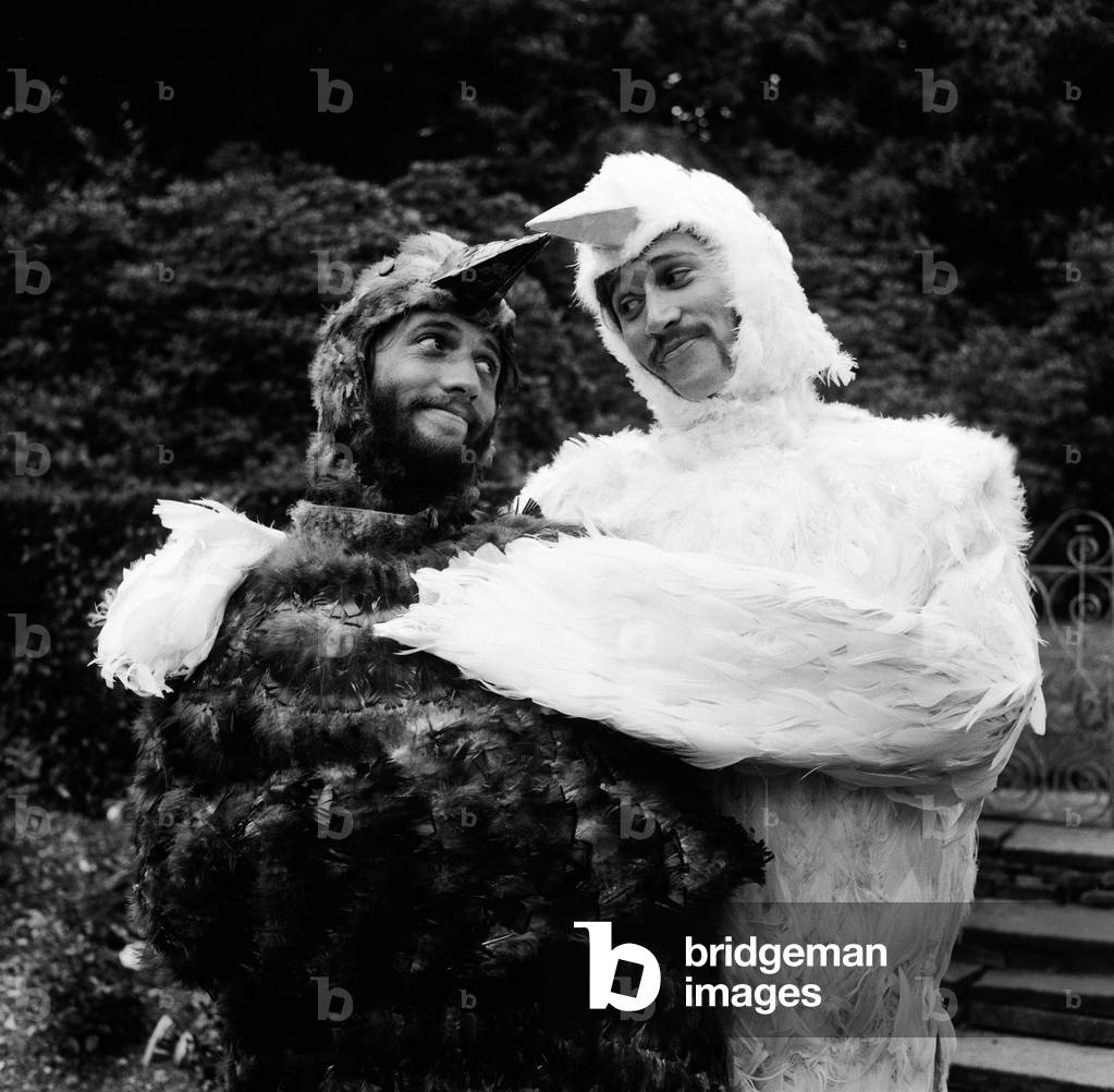 Bee Gee brothers Barry & Maurice Gibb dress up as birds for a scene in their upcoming tv show, Cucumber Castle, which they are currently filming at The Old Barn in Stanmore Middlesex 31st August 1969 (b/w photo)