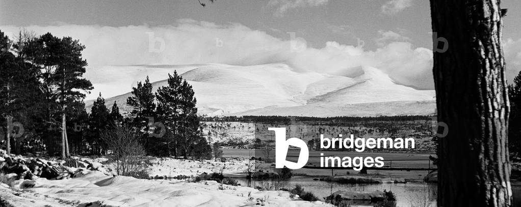 View showing Cairngorm mountain from Glen Mor Lodge in Invernesshire in the Highlands of Scotland. Circa 1952 (b/w photo)