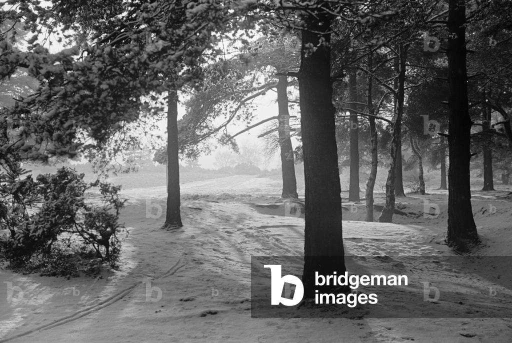 Snow scenes at Claygate. January 1940