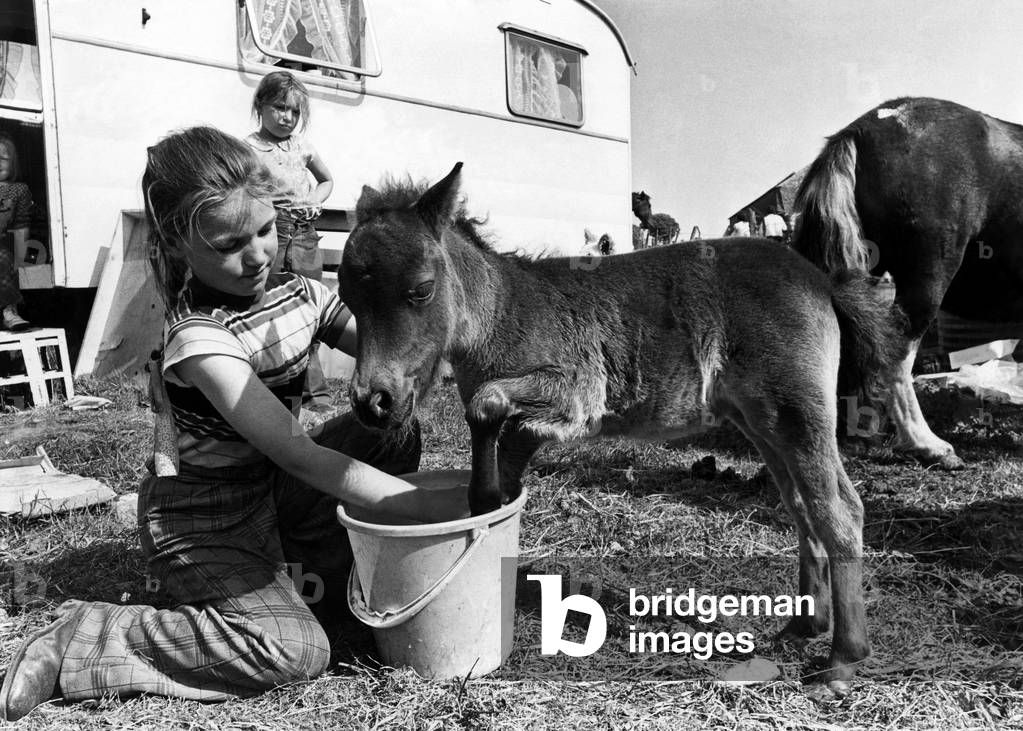 For the love of Flower - Love stopped a sale at the biggest horse fair in the north this week. Everyone wanted to buy Flower, the month-old, 17-inch tall Shetland pony owned by 11 - year - old Violet Buck, of The Croft, Bentley, Yorkshire. As she gave Flower a bath in a bucket of water Violet said; 