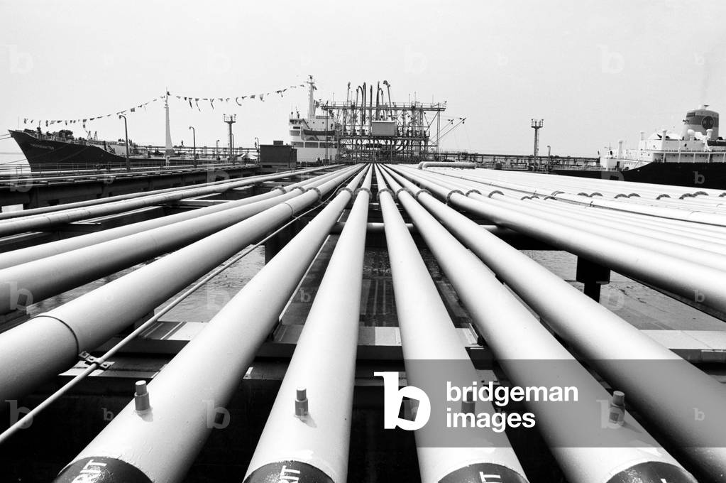 The Theogennitor ship, June 1975