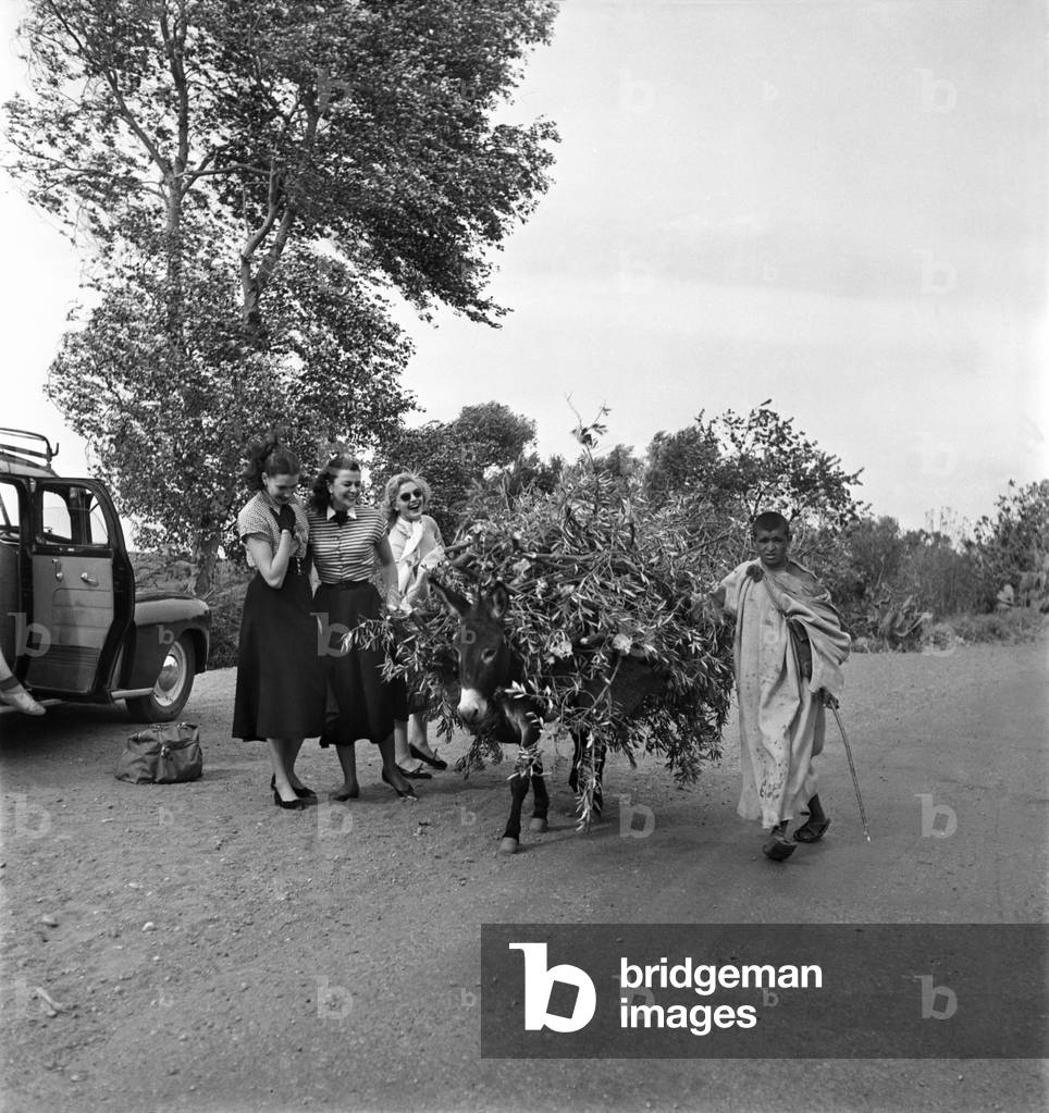 Two French actresses watch as a local man carrying tree branches on his donkey passes by near Marrakech, Morocco.
December 1952 
C5919- 035