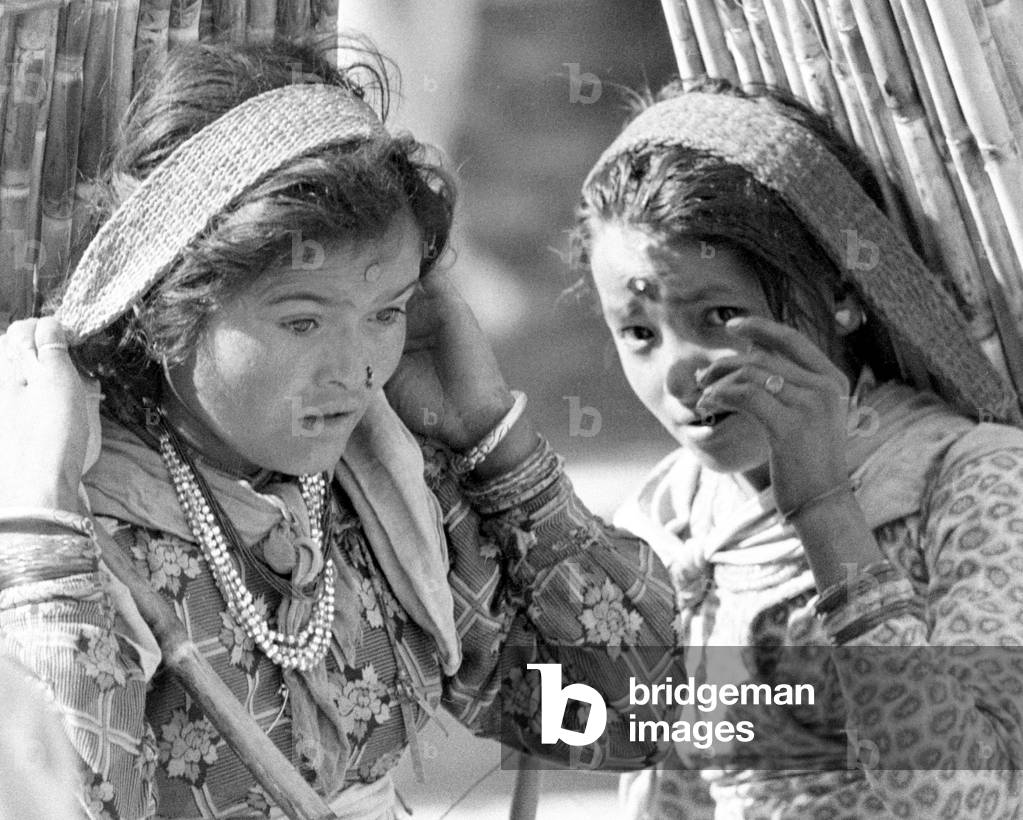 Nepalese couple seen here carrying a load of bamboo in a Katmandu market. The women is wearing a Tamang Nose-Ring, February 1961 (b/w photo)