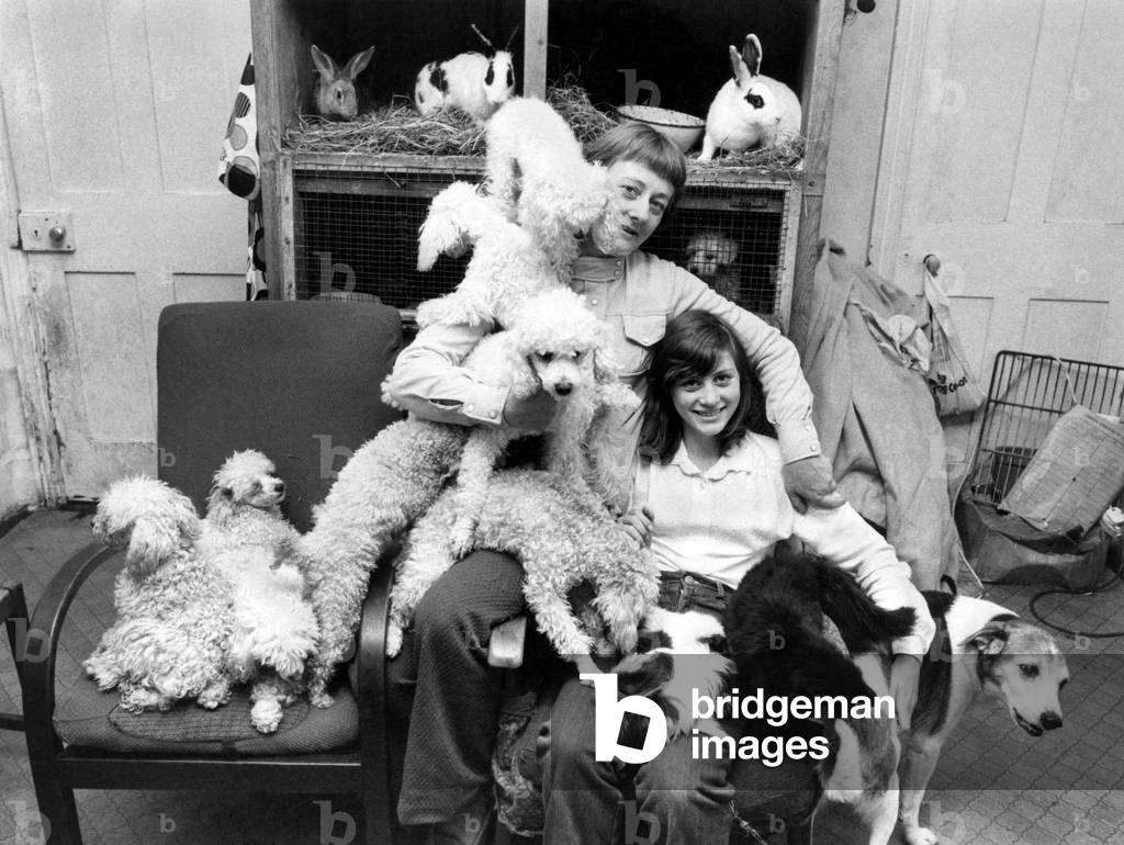 June's Ark: June Coward has been running an animal rescue service for 12 years and she says that she's never turned one away. Her terrace home in Kent on the Isle of Sheppey is like an ark, containg 70 assorted strays including poodles, terriers, cats, budgerigars, chickens, a tortoise and a goat apart from the usual rabbits, guinea pigs .... the list goes on and on. June also has 6 children of her own to contend with but she and her husband Jim put up with the extra costs, because they feel that if they weren't providing this sanctuary, innocent animals would die. Saint June with her daughter Julie, 14 and some of her family. November 1979