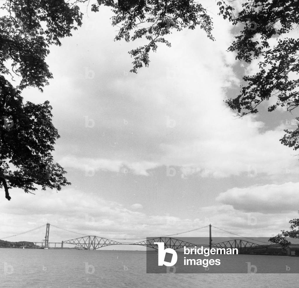Forth Road Bridge construction, June 1962 (b/w photo)