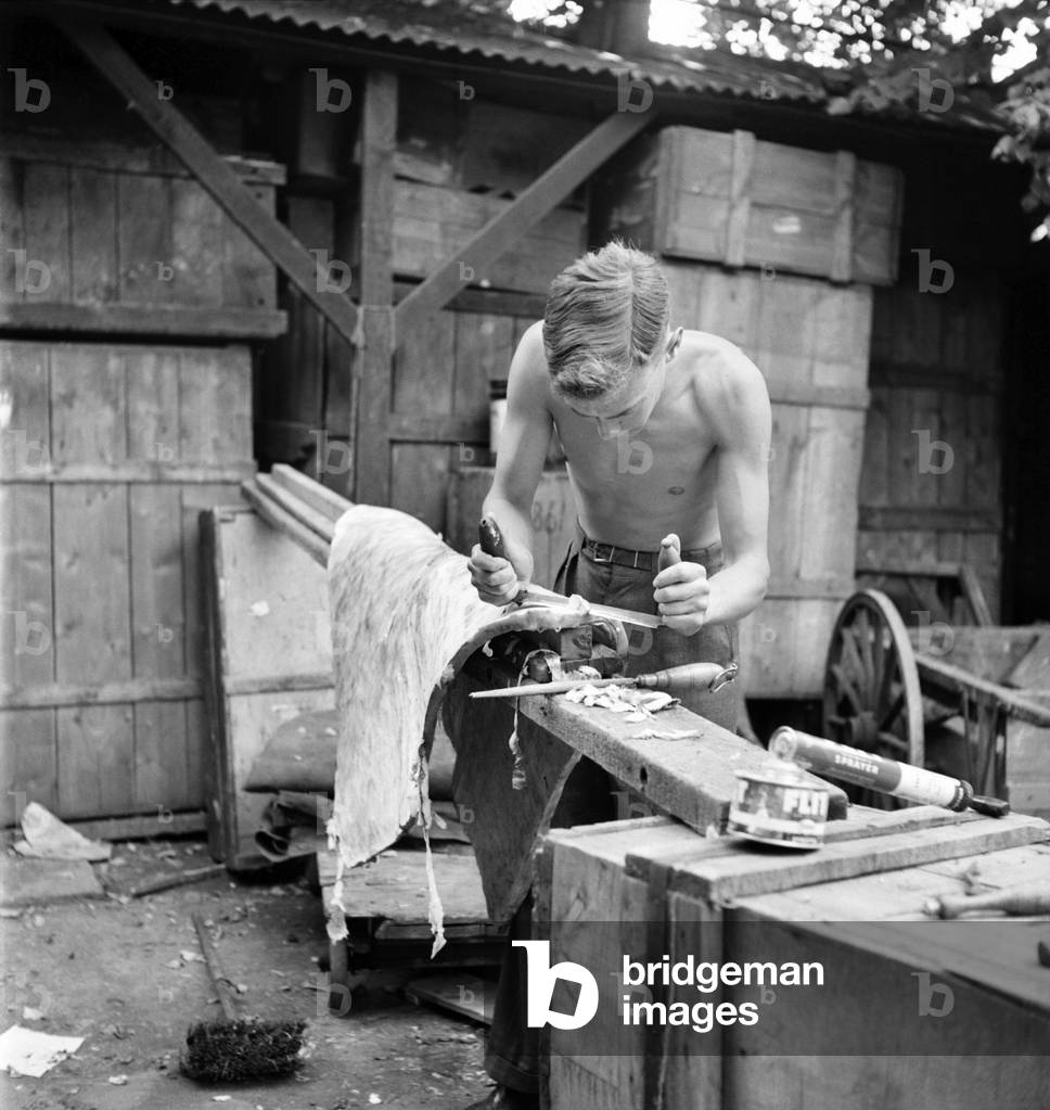 Taxidermist Workshop. January 1960
