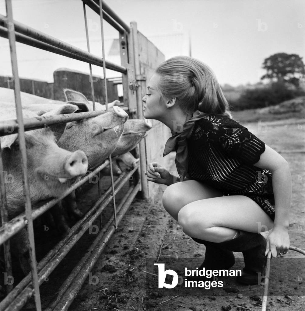 Woman with pig at her relatives farm. 
October 1969