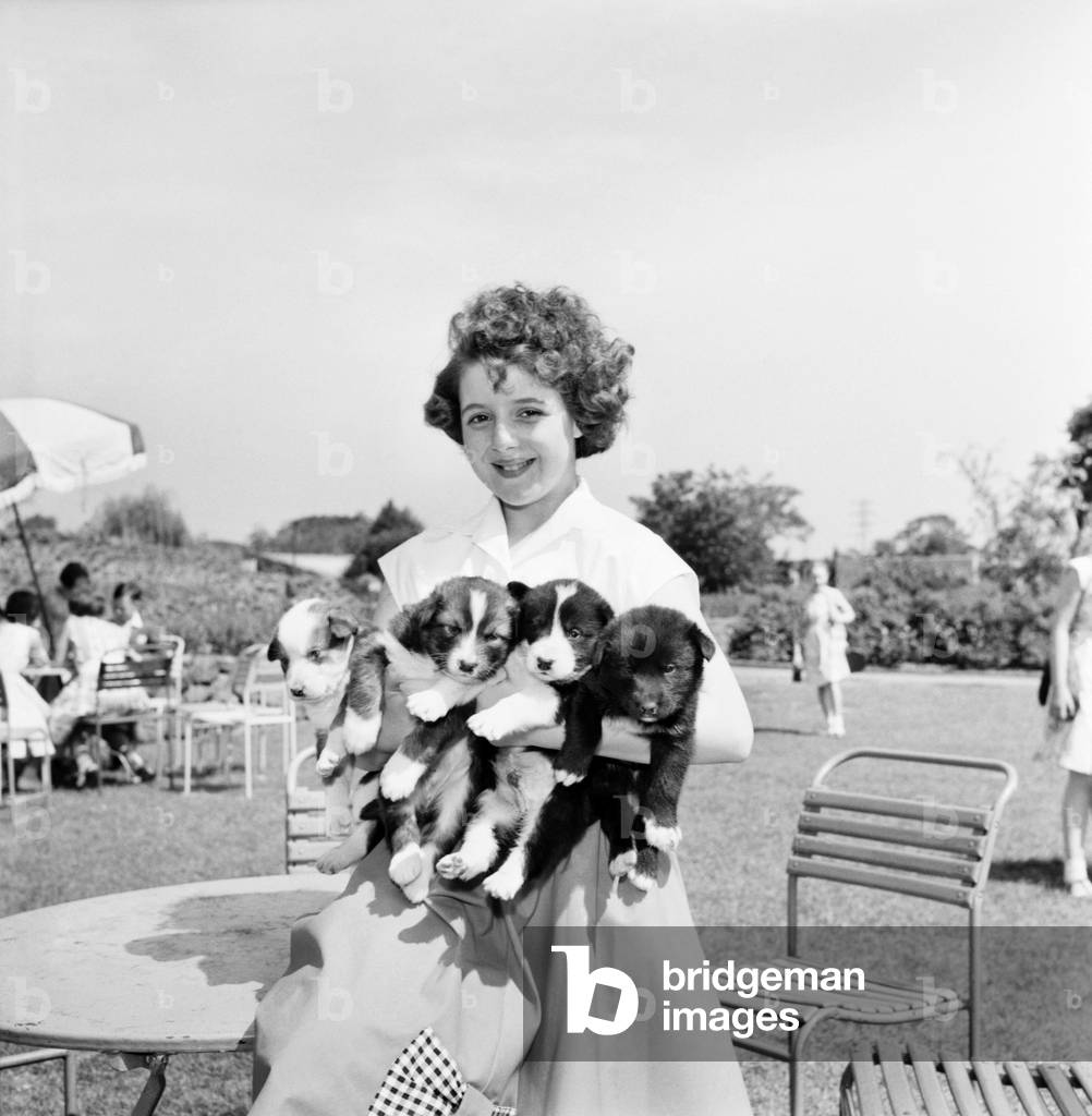 Children at Zoo: Barbara Burrows aged 11 and Beryl Simpson aged 11 both from St. Helens in the children's corner at Chester Zoo. They are holding some of the husky puppies born there 3 weeks ago. June 1960 M4284-001