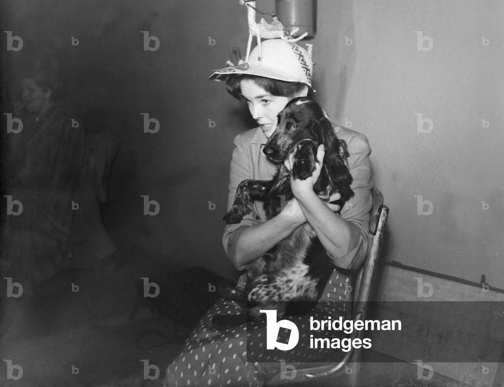 Dawn Addams seen here with her dog, Whistler at rehearsals for the Royal Film Performance, Dominion, Tottenham Court Road, London 04/11/1951 (b/w photo)