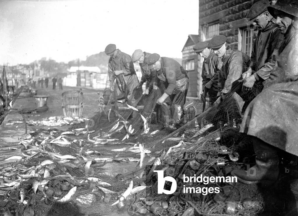 Alfieri Snr. Mackerel Fishing at Newlyn, Cornwall. Lowestoft Drifter empties its nets, 1st January 1923