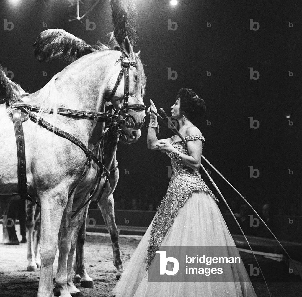 Bertram Mills Circus, a woman who performs with horses. 19th December 1958 (b/w photo)