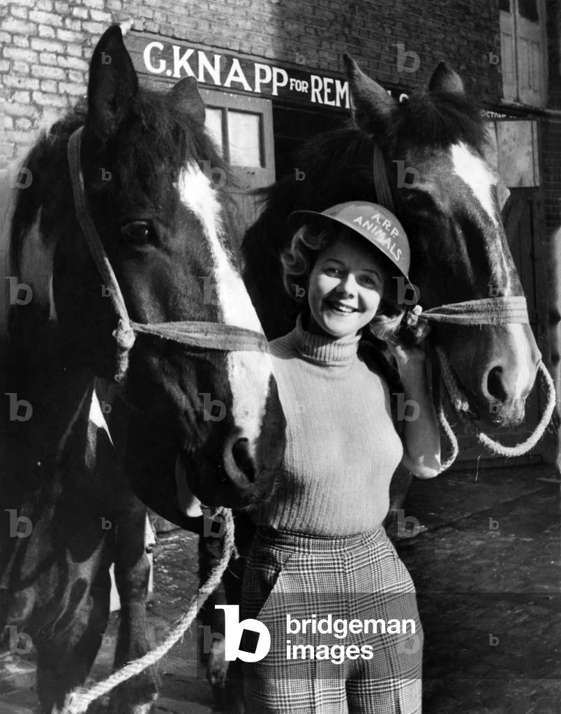 An animal guard is wearing the national ARP for animals. The helmet issued by the national ARP animals committee. October 1939