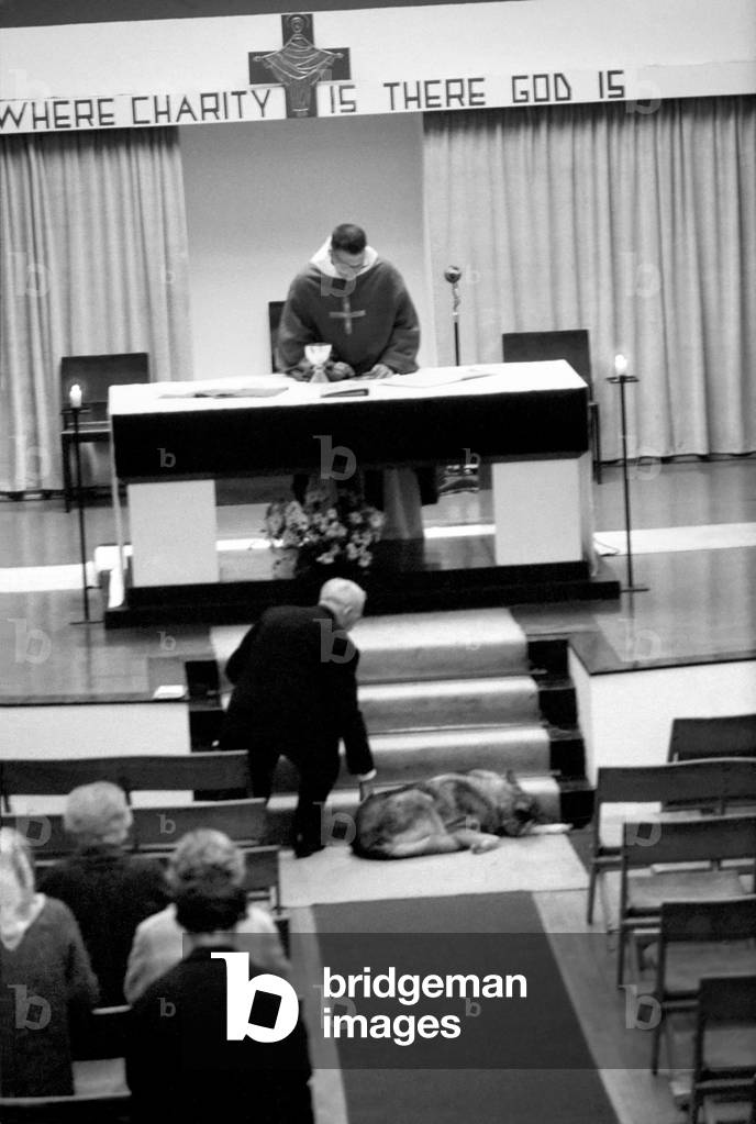 Dogs animals humor religion: 