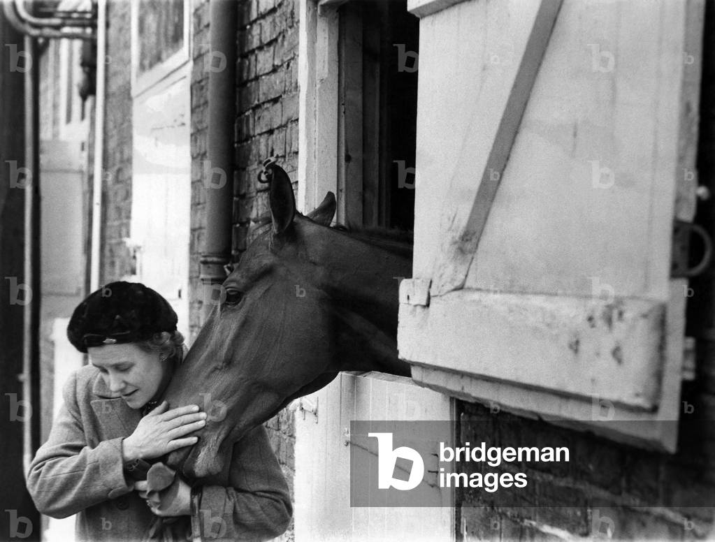 A pat and a lump of sugar for Arkle from his owner the Duchess of Westminster at Kempton Park today. December 1966
