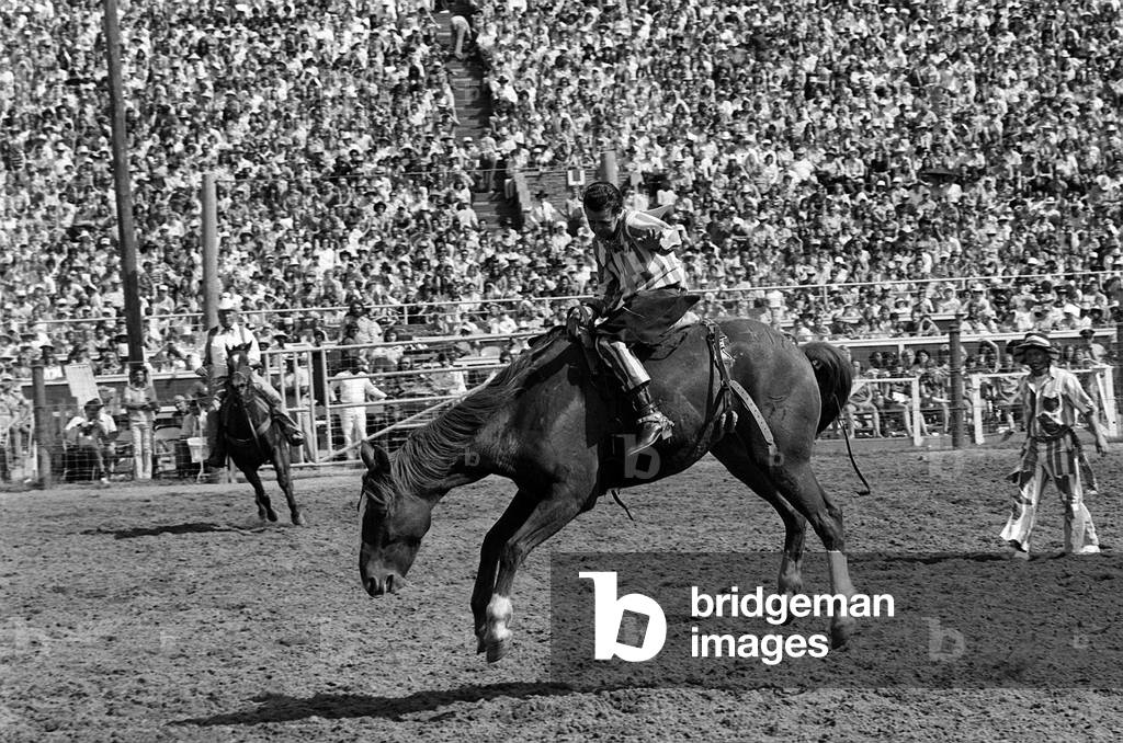 Texas State Prison Rodeo, October 1979 (b/w photo)