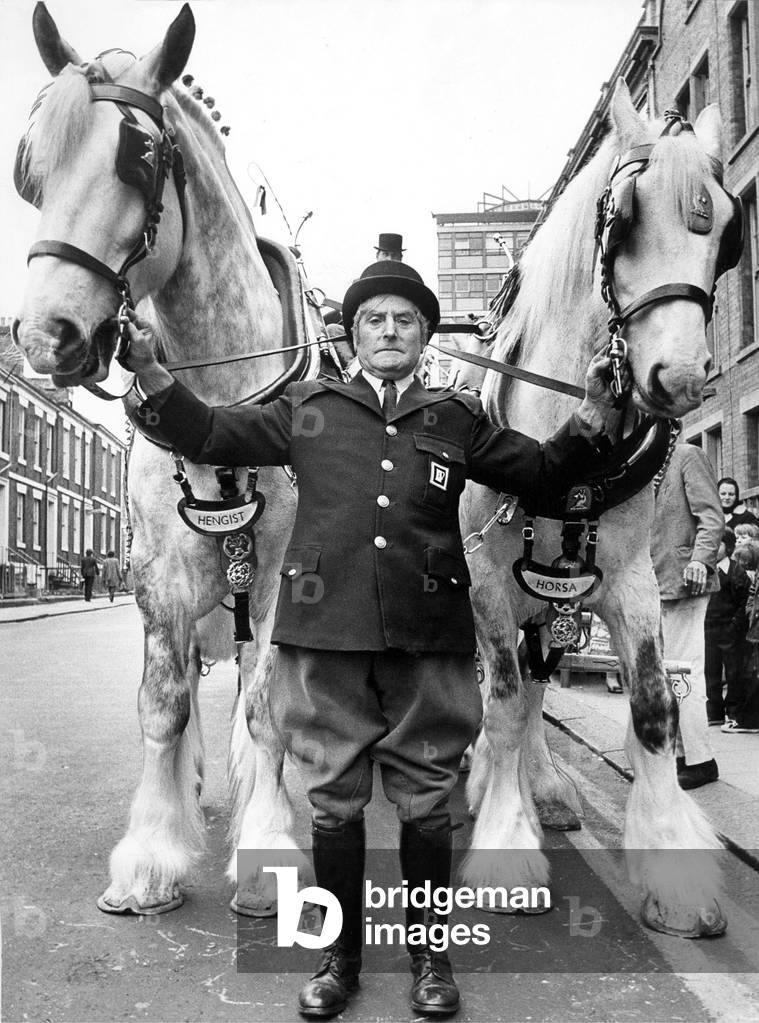Groom Ernest Marks with Whitbreads shirehorses Hengist and Horsa in 1973