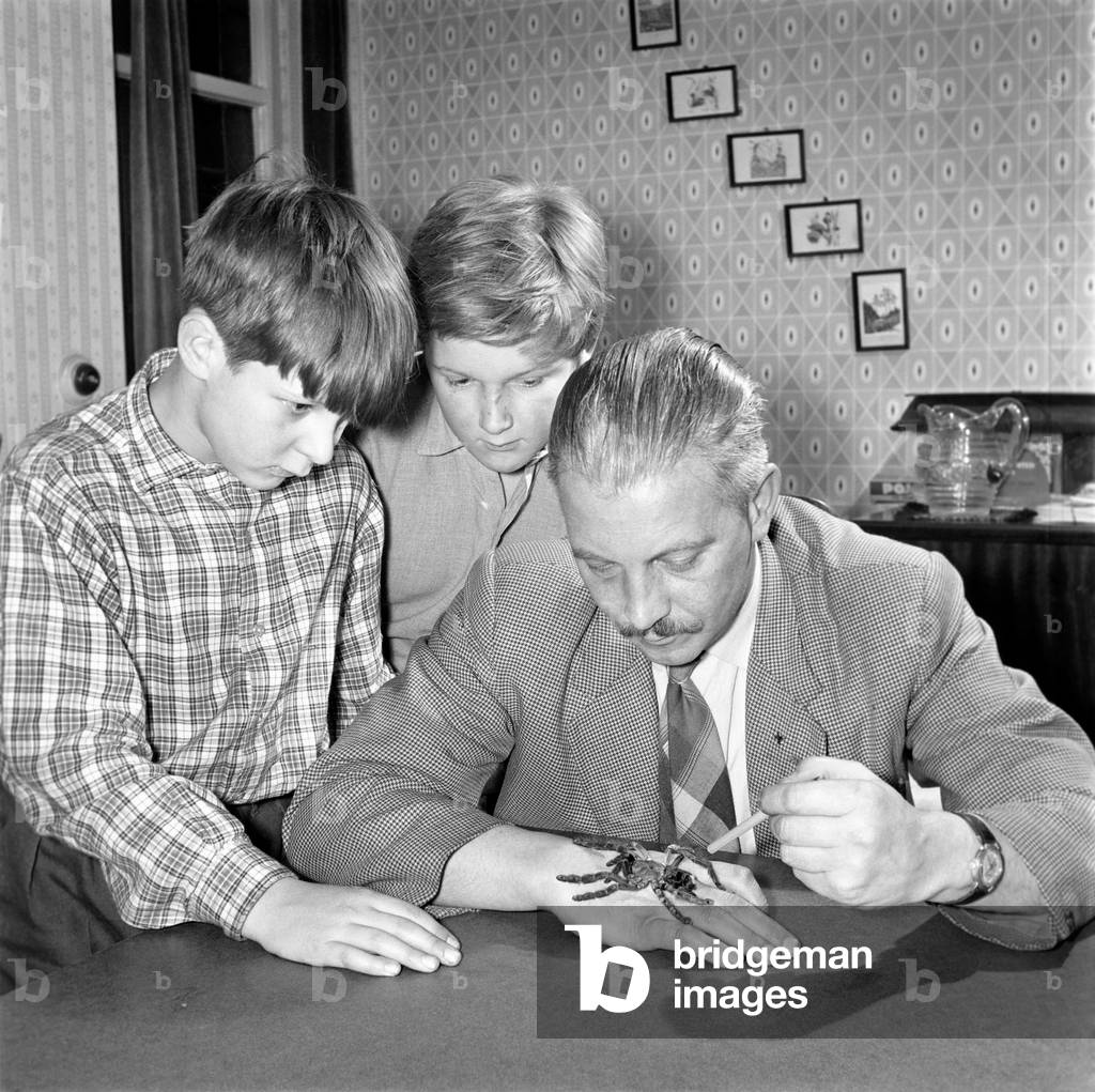 Spider collector Mr. S. Ormorod seen here showing the children two of his collection, November 1963 (b/w photo)