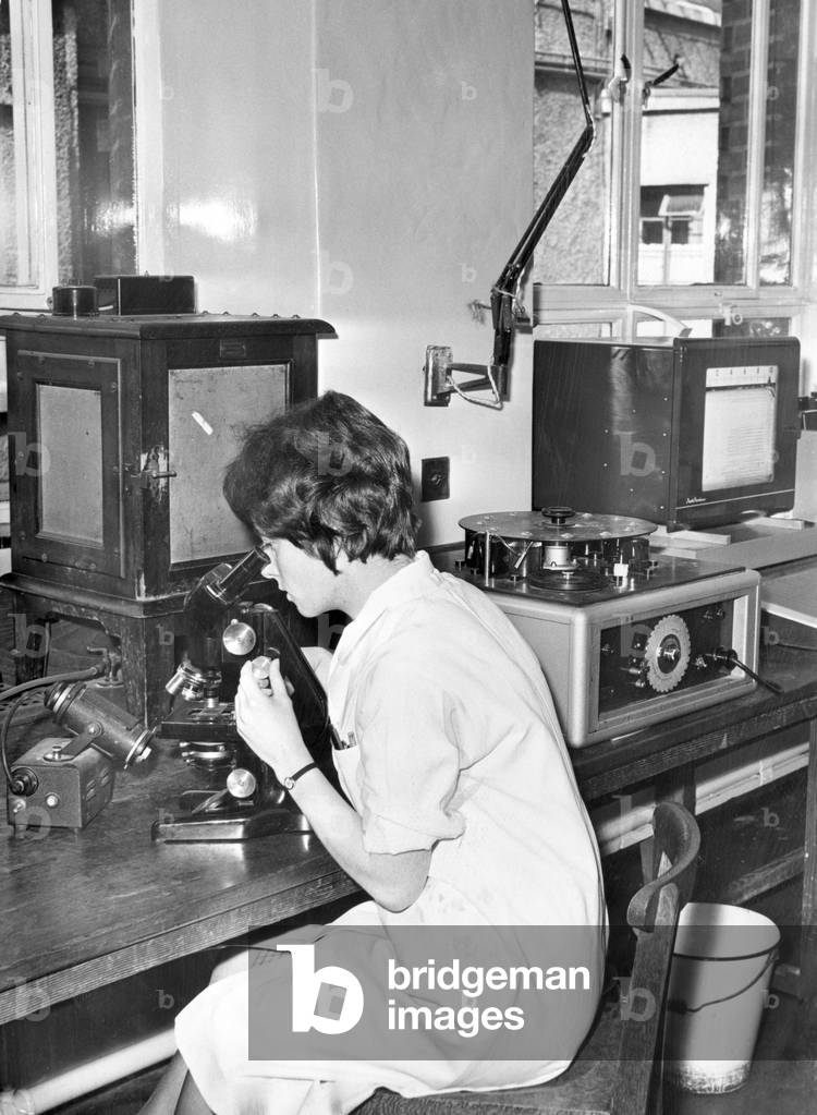 Miss Elspeth Knight examining a blood film at Haematology Department of the Cardiff Royal Infirmary. 6th September 1966.