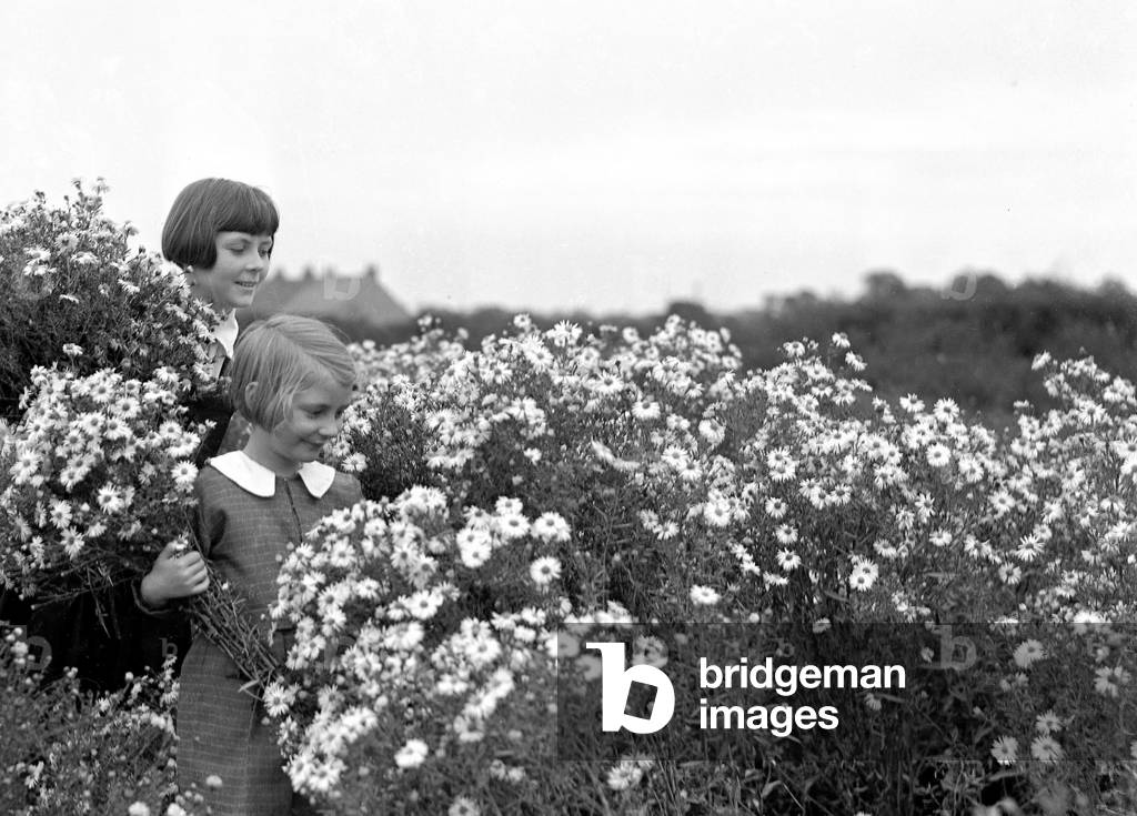 Two young girls collecting Daisies in a field.
10th August 1933