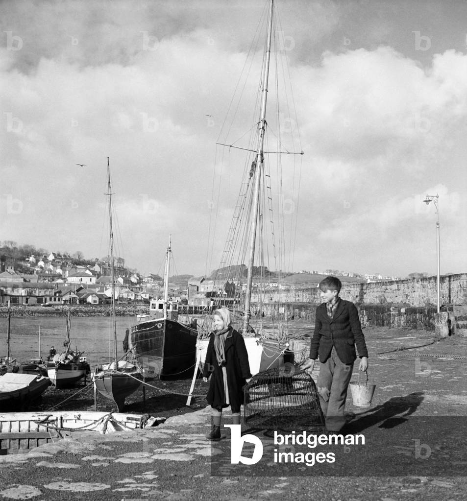 The earliest yellow narcissi called Soleil D'or, which are grown on the Islands of Scilly, are being sent out, packed in boxes and sent by boat to Penzance, for Covent Garden Market. February 1953 D647-002