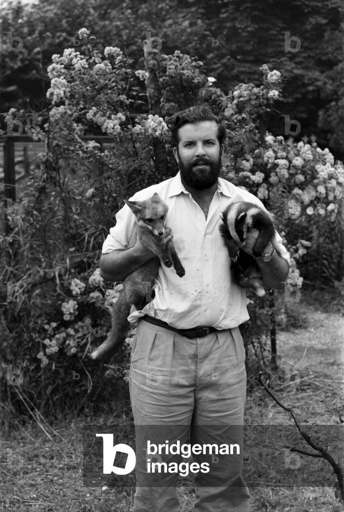 TV Zoologist Grahame Dangerfield, 1963 (b/w photo)