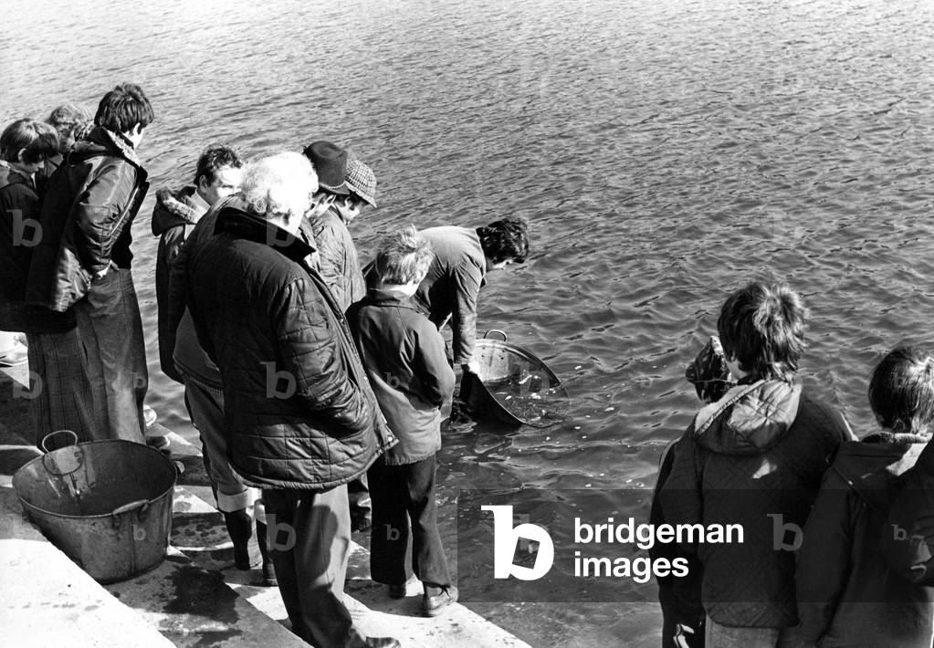 A crowd gathers on the banks of the River Wear at Chester le Street to watch members of Chester le Street & District Angling Club restoring the river with 500 brown trout, c.1970