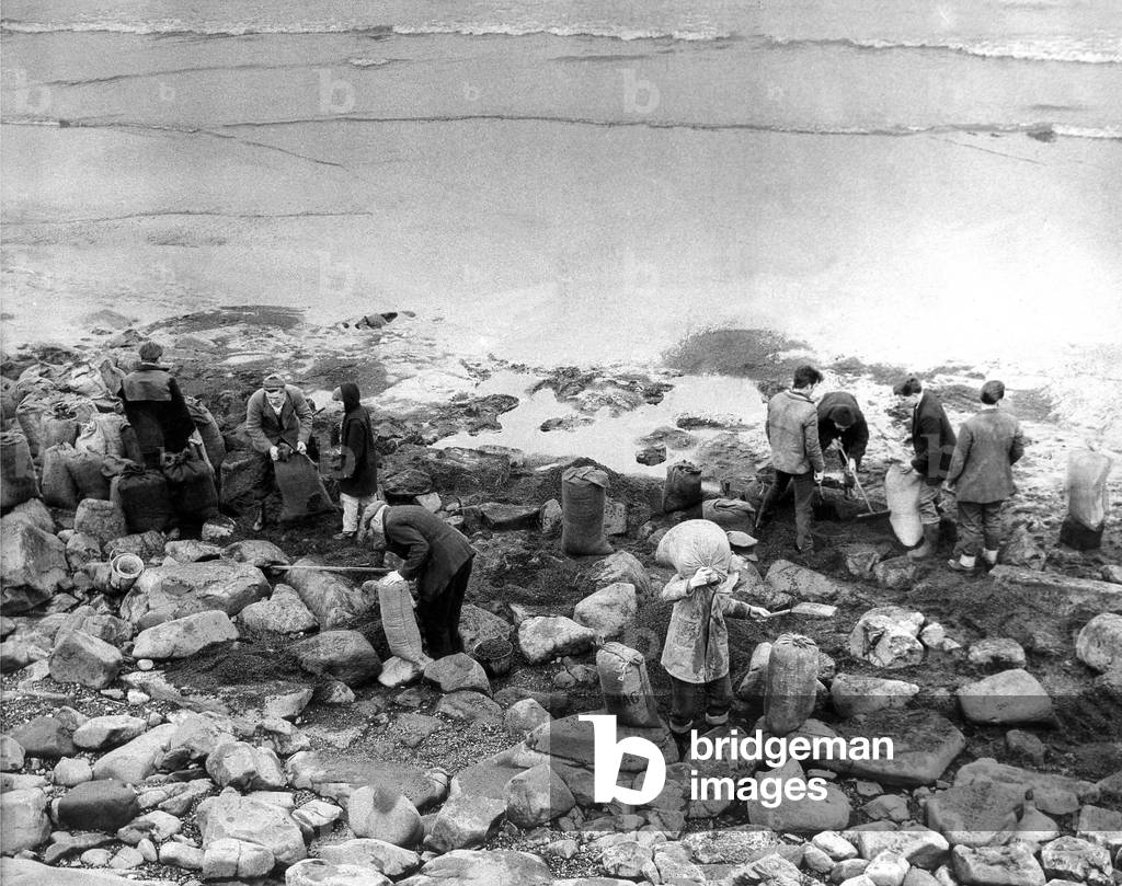 Dozens of amateurs coal pickers take sacks down to the beach at Hartlepool to fill them full of sea coal during the fuel shortage in March 1962 (b/w photo)