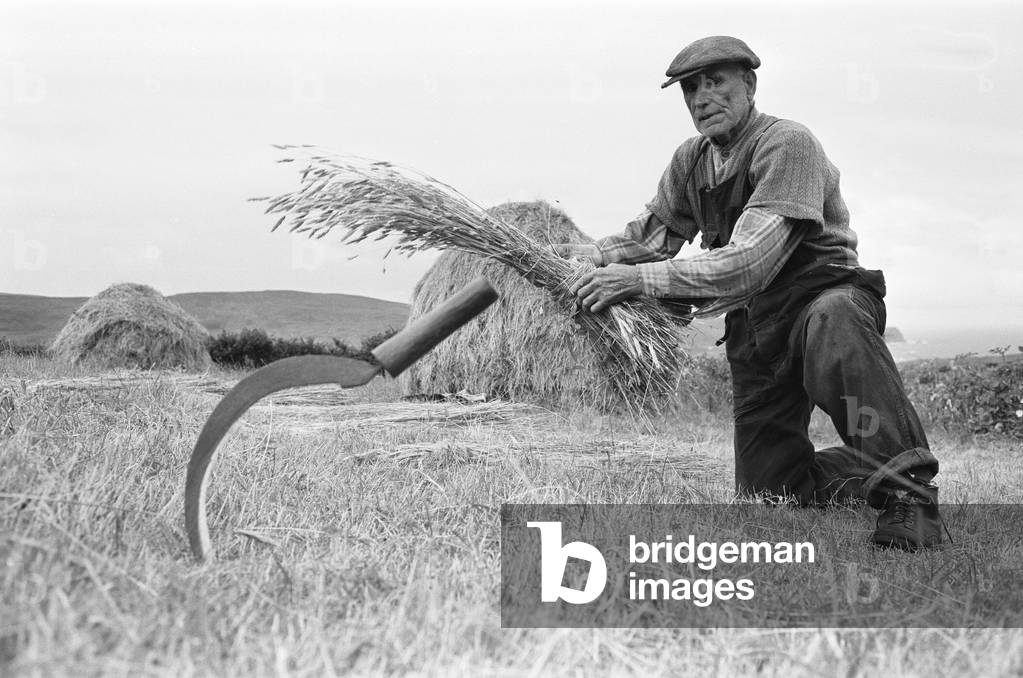 Farmer gathering in the havest in the fields and hills in and around the County Donegal village of Glencolumbkille Northern Ireland 7th September 1963