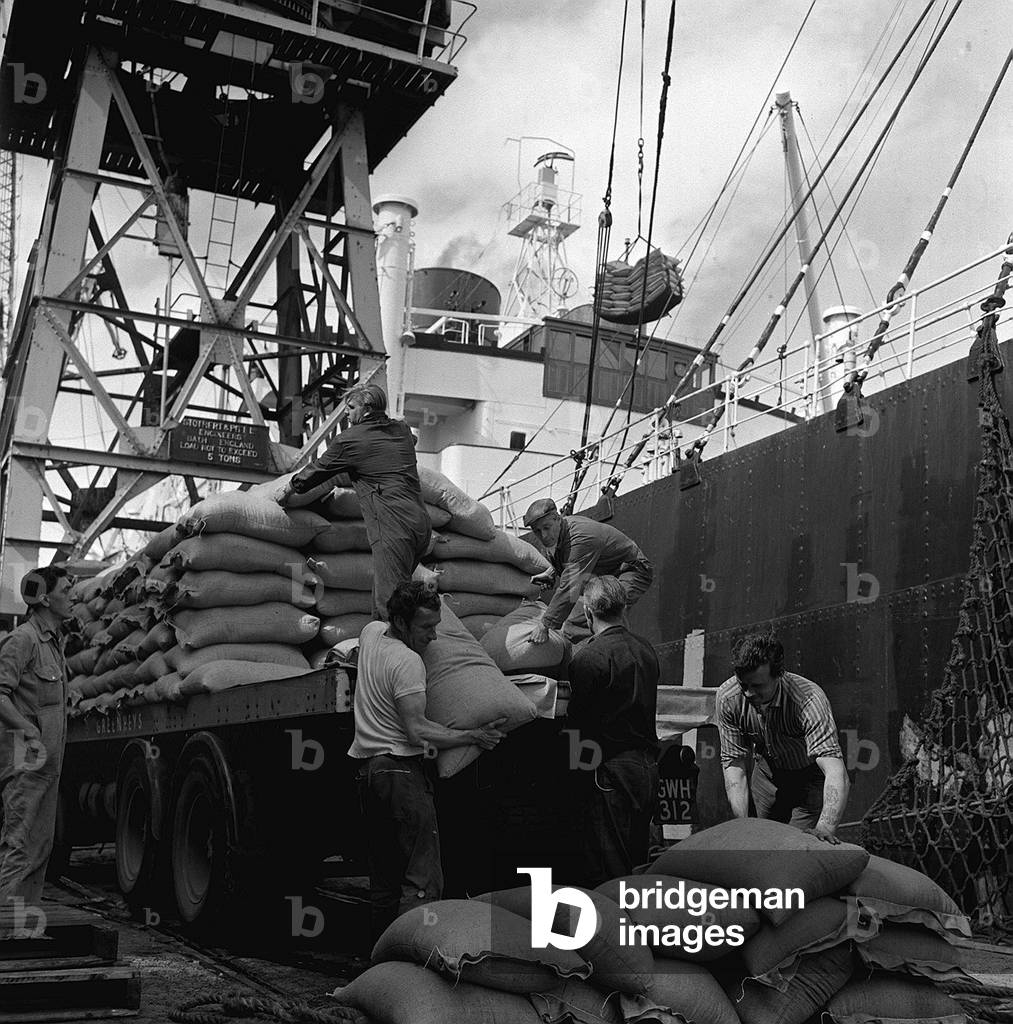Liverpool Dockers unloading ships in the Dockyards, August 1965 (b/w photo)