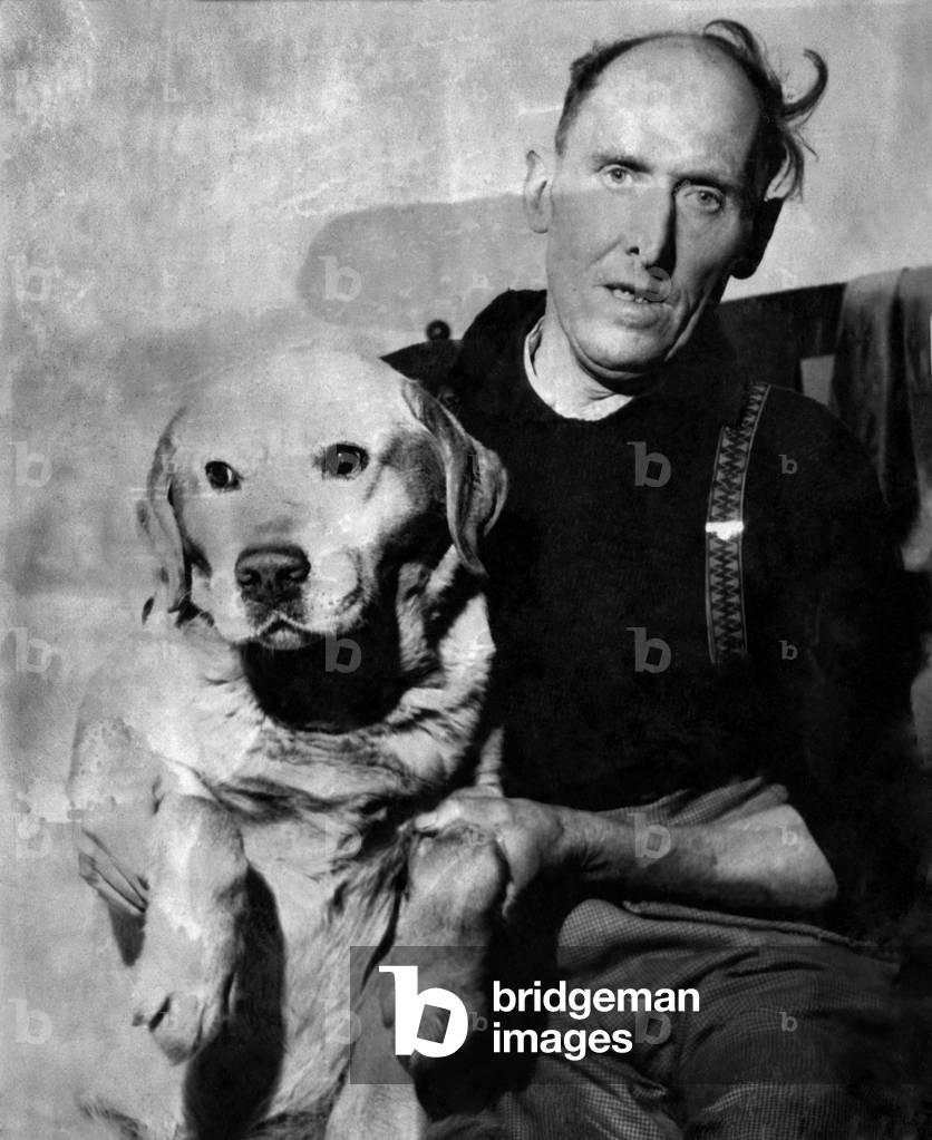 Sandy the golden Labrador who saved a woman injured in the snow pictured with his master John Megginson, January 1962 (b/w photo)