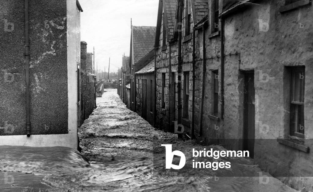 Dumfries and Galloway, South West Scotland, November 1954]