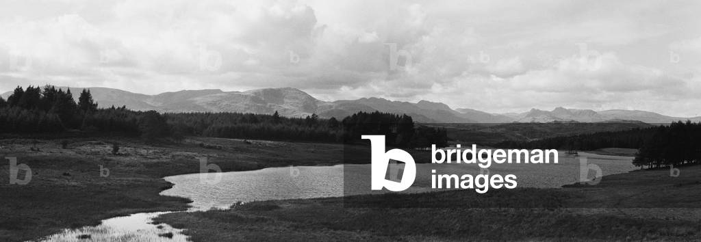 General view of Moss Eccles Tam on Claire Heights above Lake Windermere in the Lake District, Cumbria, c. 1960 (b/w photo)