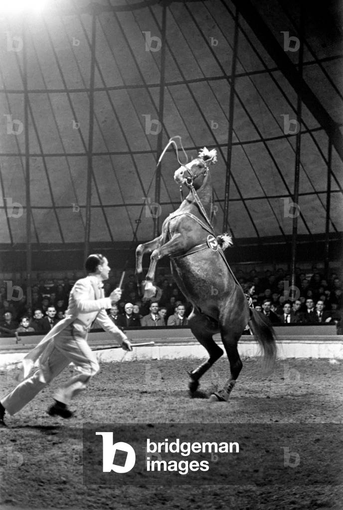 Bertram Mills Circus at Luton. April 1950 O23401-004
