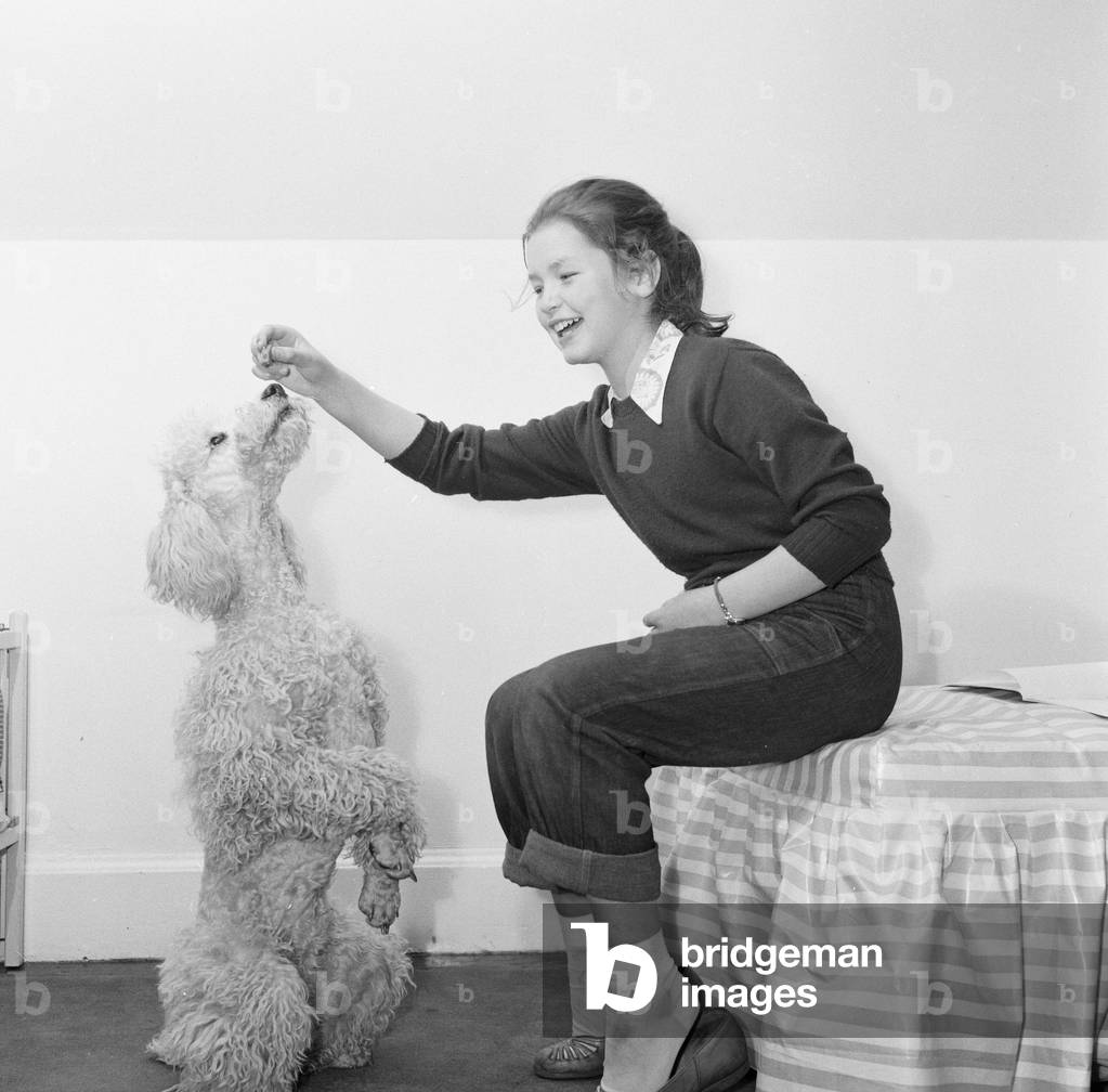 Child star Mandy Miller is pictured here at home on 8th May 1955 (b/w photo)