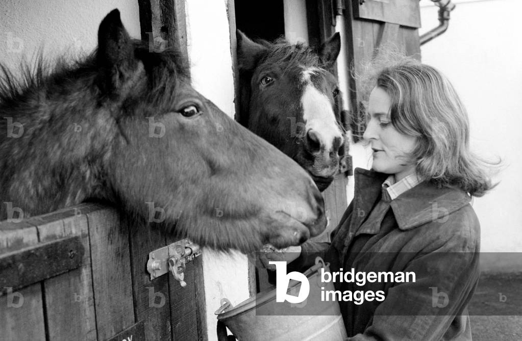 Mrs. Jill Gibbs looking at two ponies, January 1975