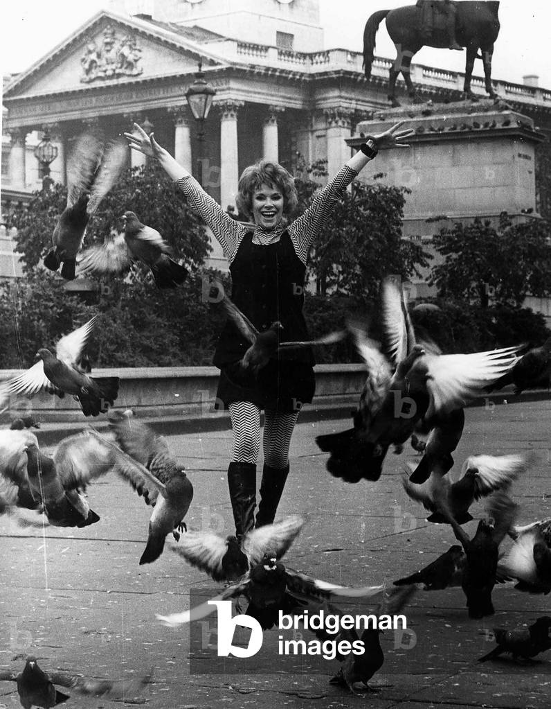 Wendy Craig actress with pigeons 1968 (b/w photo)