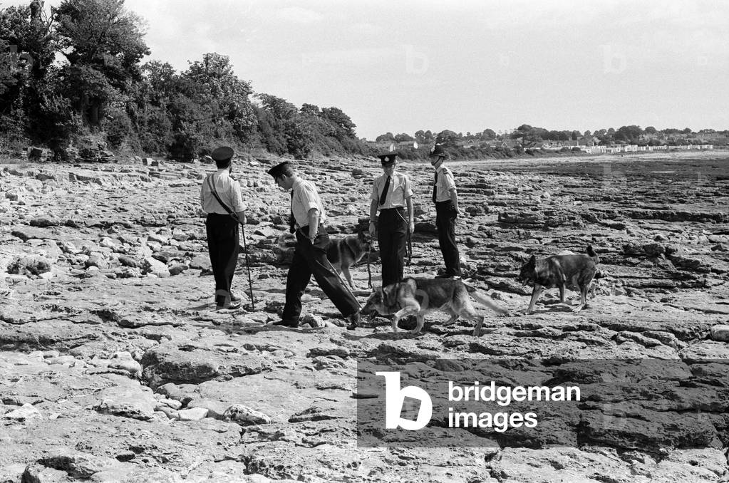 Police and tracker dogs search the beach at Sully, where Betty Elston was found murdered. 20th July 1971 (b/w photo)