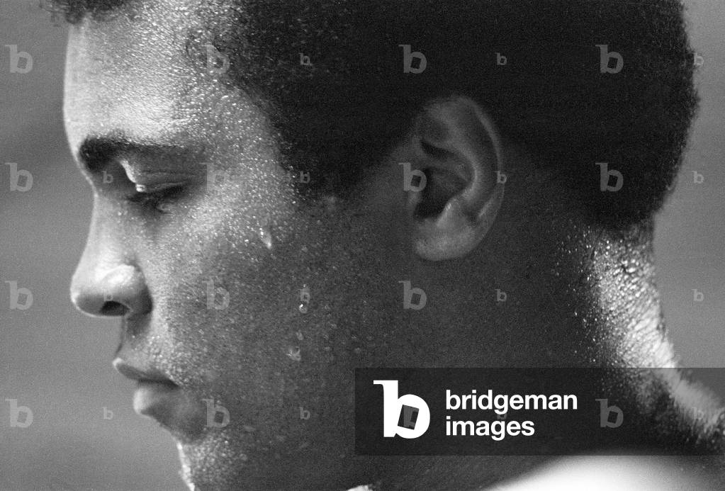 Muhammad Ali (Cassius Clay) training at his Pennsylvanian mountain retreat for his Rumble in the Jungle fight against George Foreman in Zaire. 27th August 1974 (b/w photo)