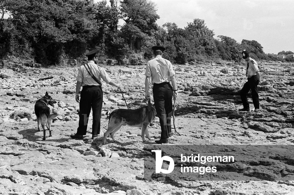 Police and tracker dogs search the beach at Sully, where Betty Elston was found murdered. 20th July 1971 (b/w photo)