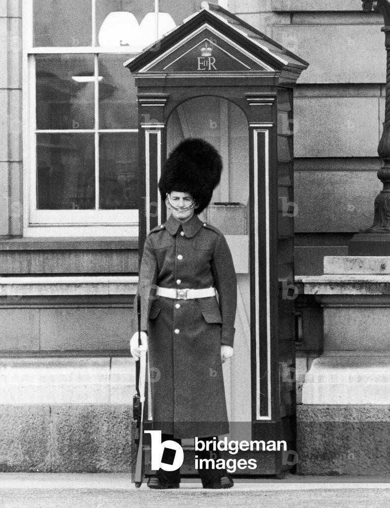 At Buckingham Palace, London a soldier of the 1st Battalion Scots Guards on duty had quite a problem. For usually immaculately dressed Guardsman's busby had slipped, and for 15 minutes he patrolled in front of the Palace with it at a jaunty angle, c. 1970 (b/w photo)