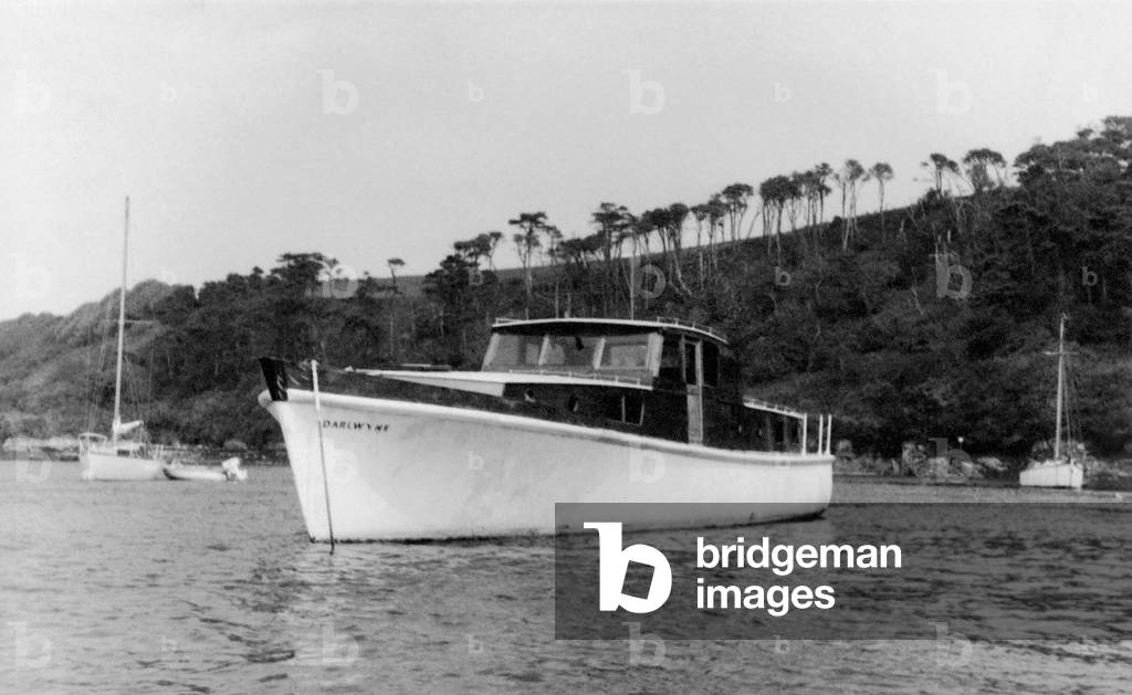 The Darlwyne pleasure cruiser which went missing along the Cornish coast with 31 people on board. The 45 foot long boat sailed from Mylor near Falmouth and was last seen of Fowey heading home. August 1966 (b/w photo)