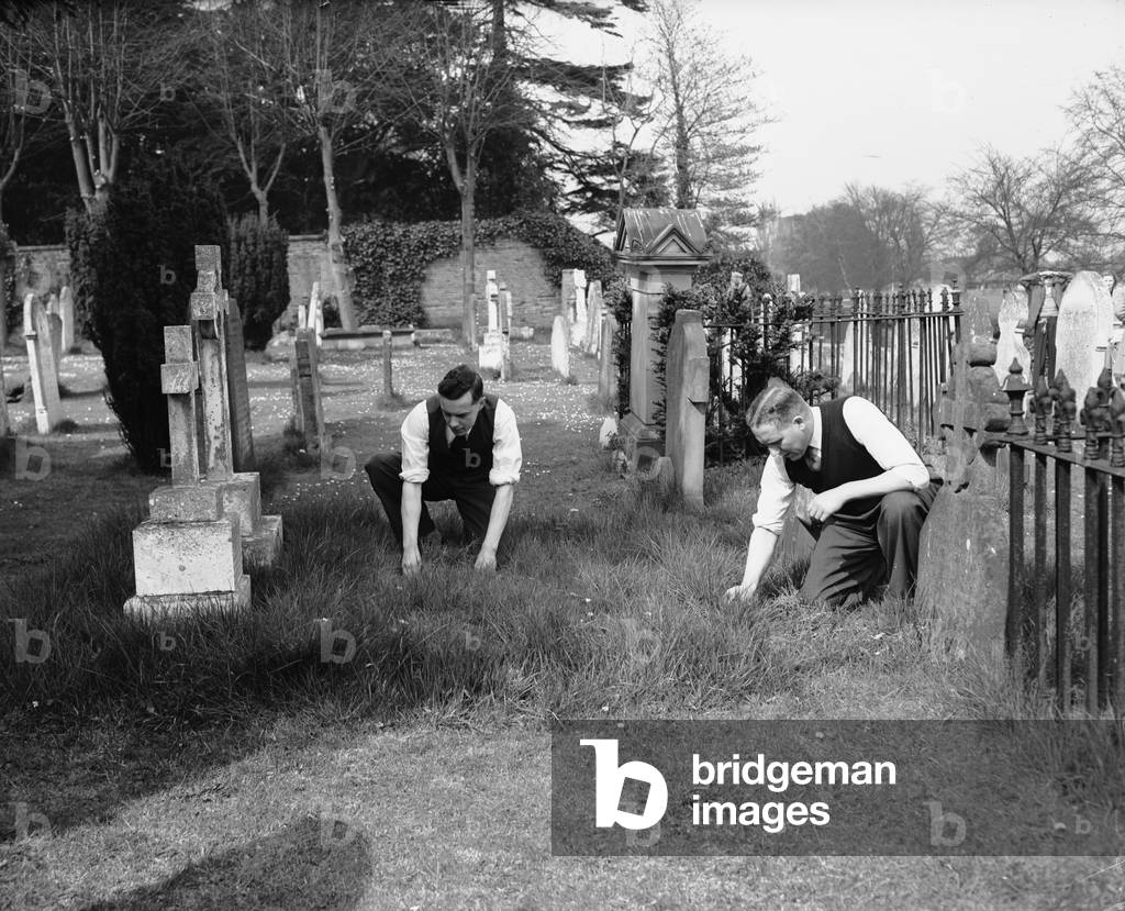 Members of the CID combing the graveyard and the river bank for evidence 29th April 1954