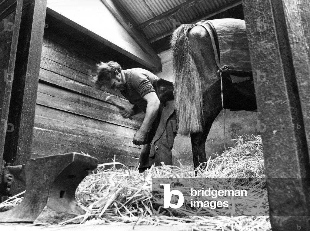 Blacksmith Doug Dunn shoeing racehorses in a stable near his forge at Rennington