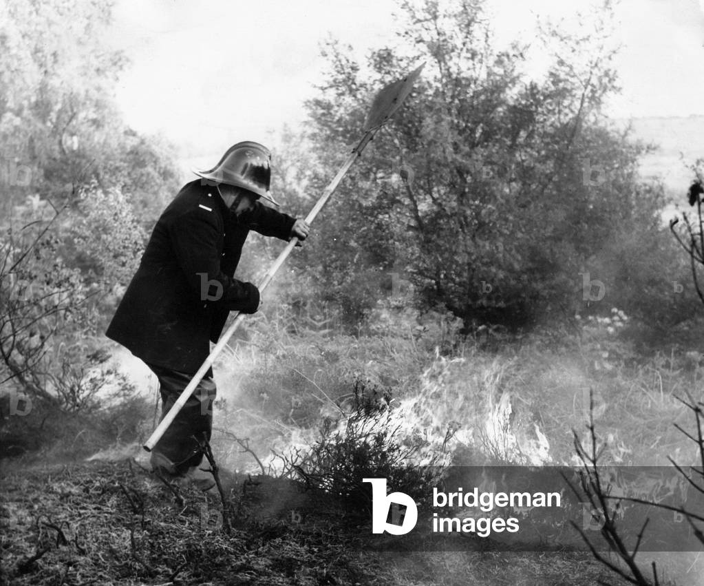 A lone firefighter has a huge task trying to put out a forest fire blaze, c.1960