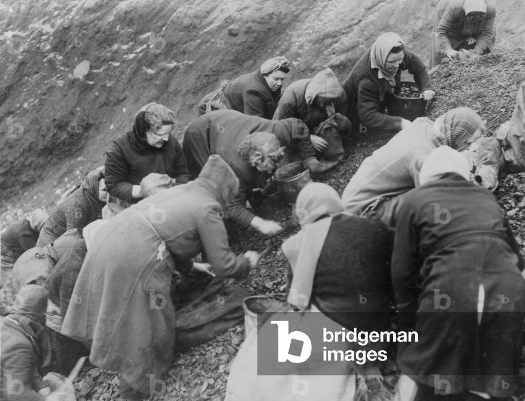 Women with buckets, bags and sacks scrounge for pieces of coal amongst the slag at the local pit near Gorton in Manchester during the coal shortage of World War Two, 13th January 1945 (b/w photo)