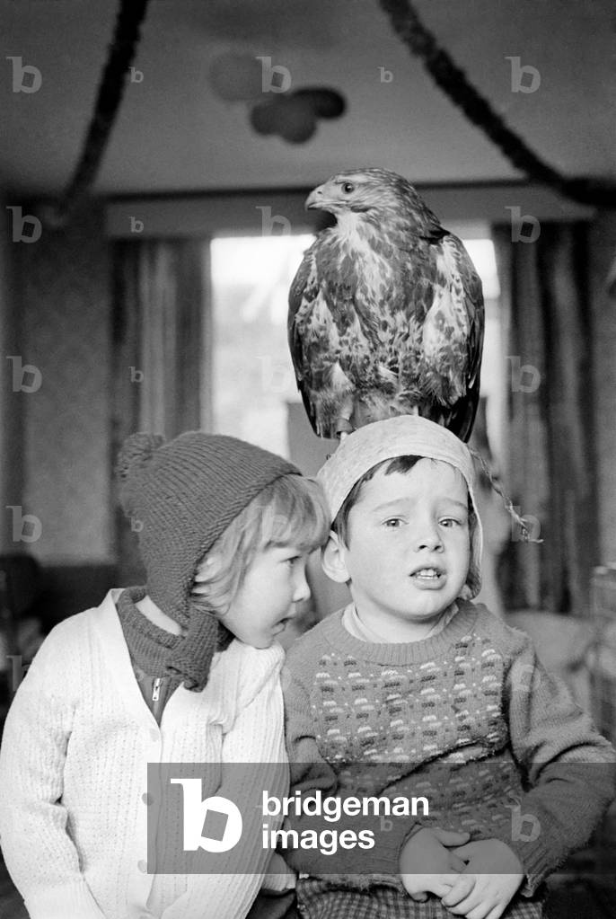 Animal/pet/unusual. Children with Buzzard. December 1970